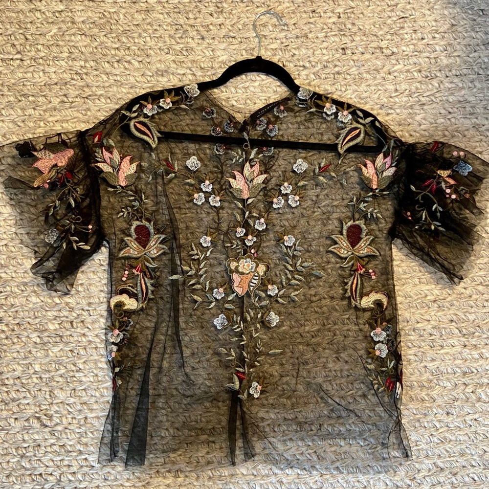 Zara sheer embroidered top